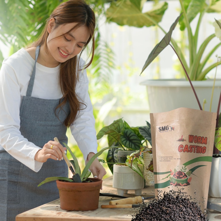 Worm Castings : Powerful Organic Fertilizer for All Plants - Image 2