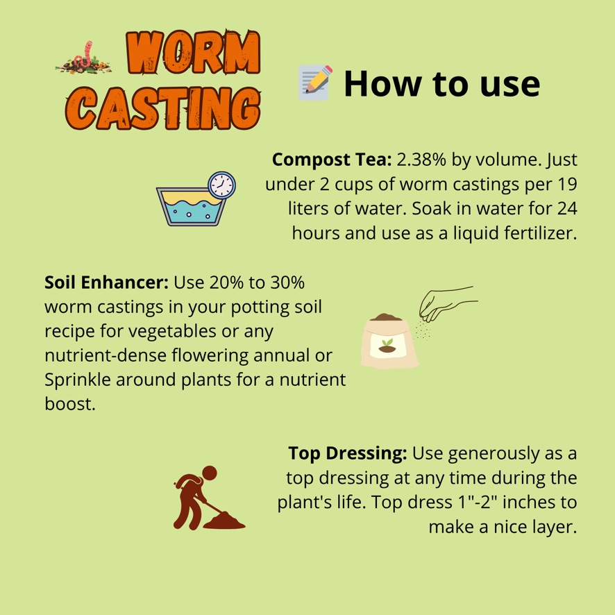 Worm Castings : Powerful Organic Fertilizer for All Plants - Image 3