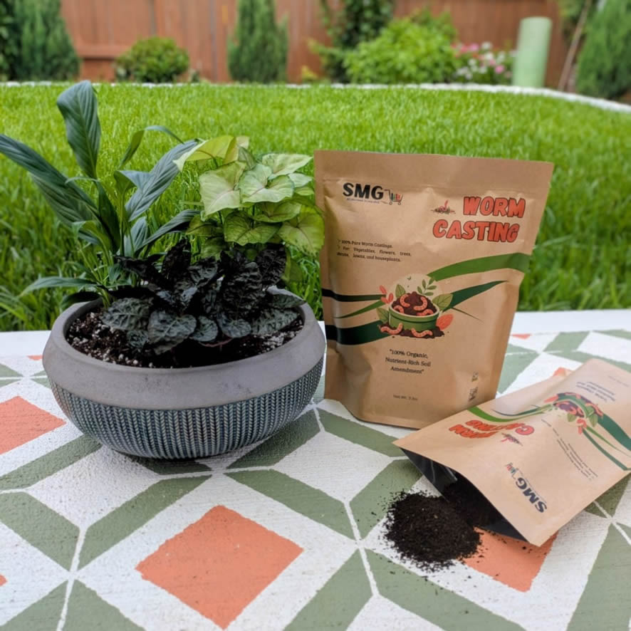 Worm Castings : Powerful Organic Fertilizer for All Plants - Image 6